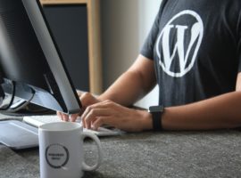 WordPress-Logo-Système-de-gestion-de-contenu