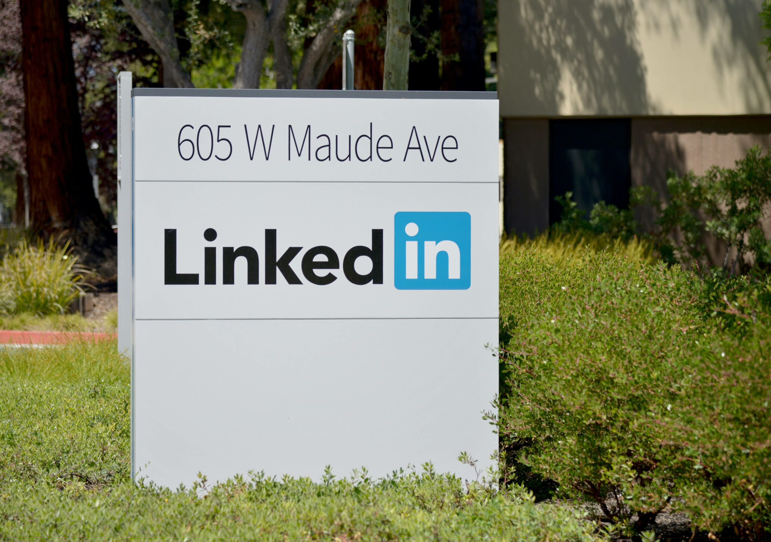 LinkedIn : La plateforme incontournable